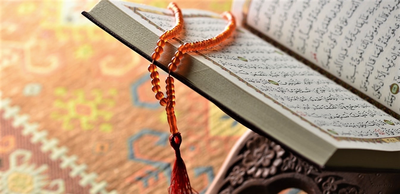 inzaar-lms-banner-35.jpg